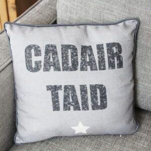 Taid cushion
