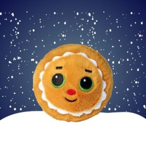 Cookie Ginger Christmas Beanie Bouncer